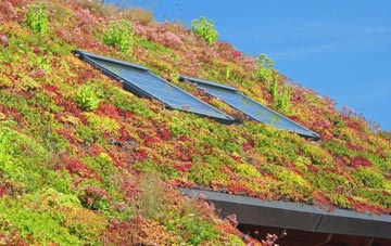 Rhiwen living roof systems
